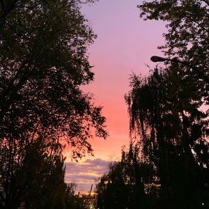 Meet your Posher, Julietta